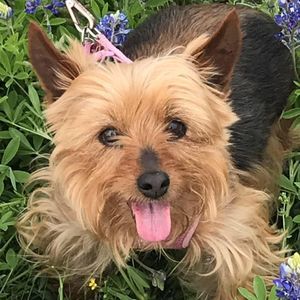 Meet your Posher, Michele